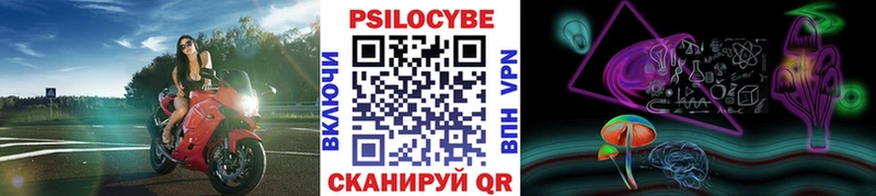 Псилоцибиновые грибы MAGIC MUSHROOMS  мориарти официальный сайт  Звенигово 