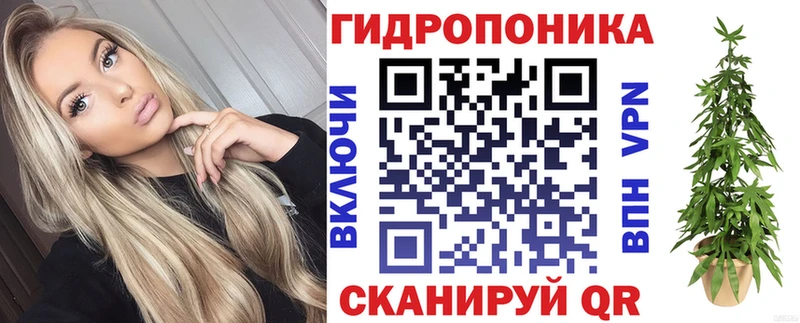 где продают наркотики  Звенигово  МАРИХУАНА AK-47 